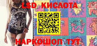 винт Будённовск