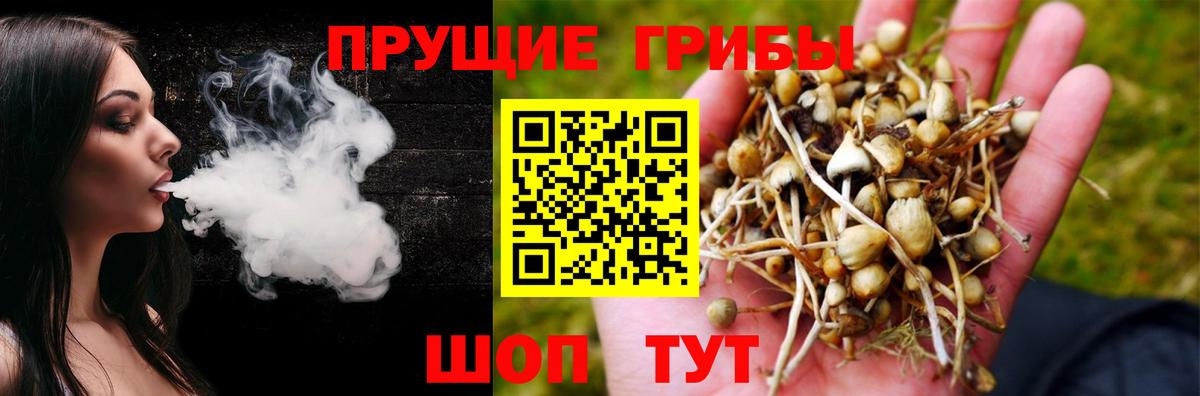 Псилоцибиновые грибы мицелий  Вход с VPN  Галлюциногенные грибы MAGIC MUSHROOMS  Трёхгорный 
